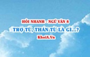 Trợ từ là gì? Thán từ là gì? Đặc điểm và chức năng của trợ từ, thán từ? Ví dụ? Ngữ Văn lớp 8